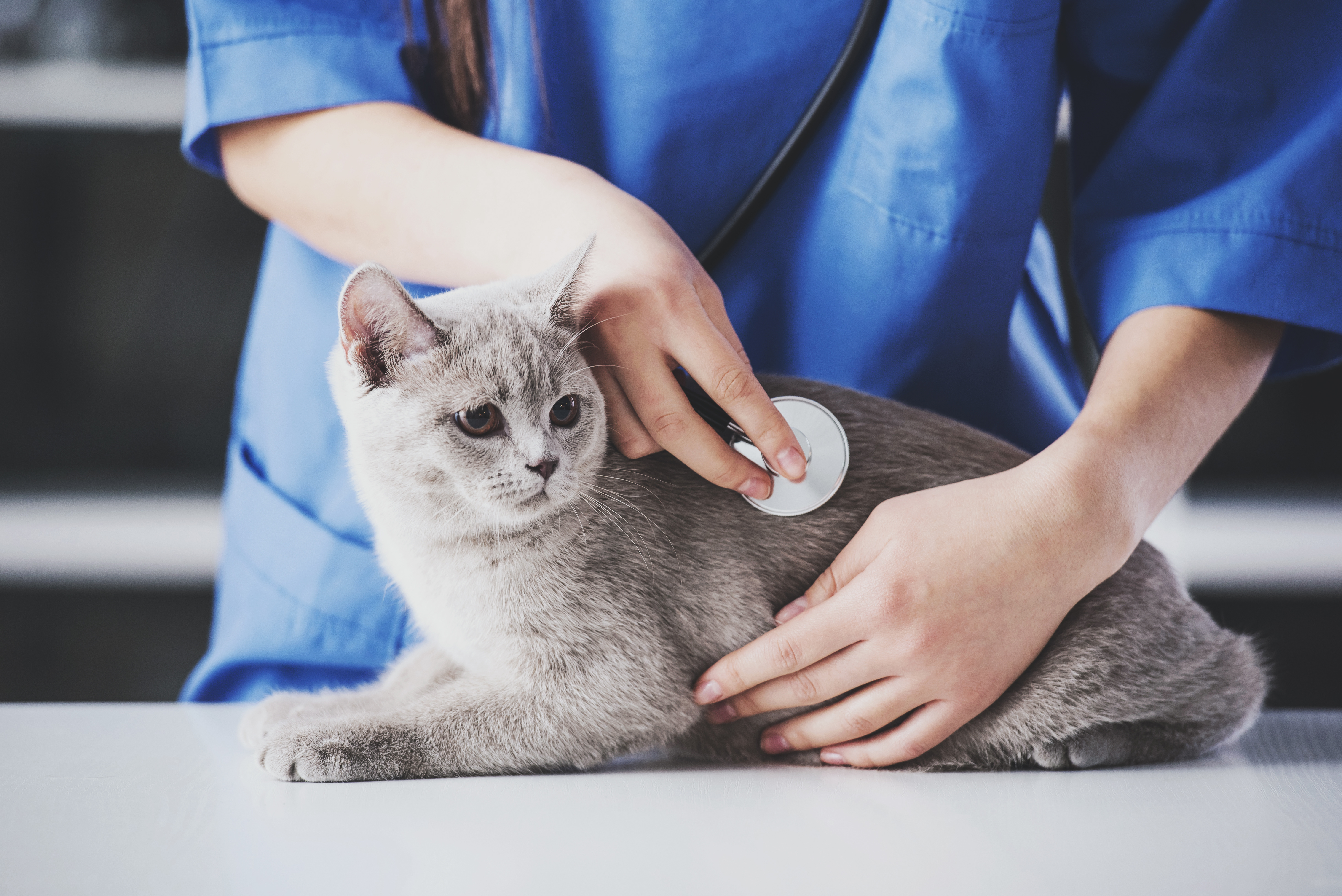 Diagnostics